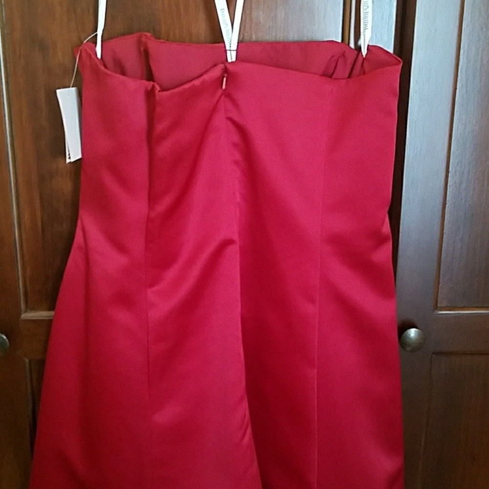 David's Bridal Bridesmaid Dresses - Picture 8 of 8